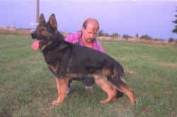 Alk v. Osterburg Quell