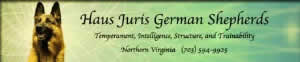Haus Juris