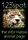 123spot the Informative Animal Page