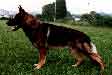 Small picture of V Torro vom K�rbelbach