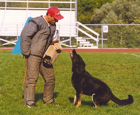 ADRAHO~3.jpg (56641 bytes)