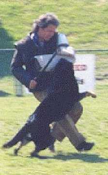 ADRANA~4.JPG (12657 bytes)