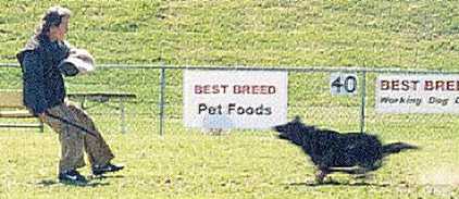 ADRANA~6.JPG (17098 bytes)