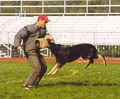 ADRASW~1.jpg (37919 bytes)