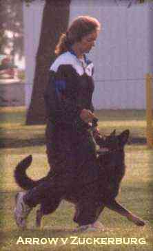 ADWFHE~1.JPG (7639 bytes)