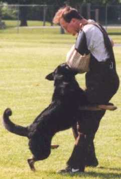 AWDFAT~1.JPG (9840 bytes)