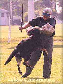 AWDFTEST.JPG (13675 bytes)