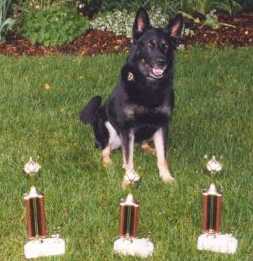 AWDFTR~1.JPG (11227 bytes)