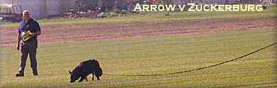 AWDFTR~2.JPG (7690 bytes)