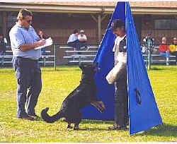 adraguard.jpg (52810 bytes)