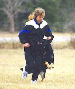 adraheel.jpg (36500 bytes)