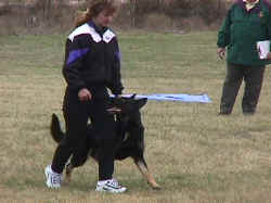 hotarrow.jpg (32804 bytes)