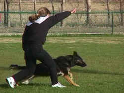 hotzeke.jpg (36351 bytes)