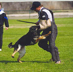 zekedrive.jpg (41103 bytes)