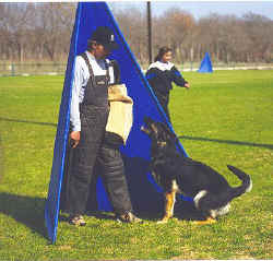 zekeguard.jpg (46635 bytes)