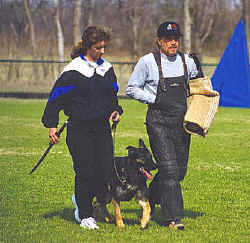 zeketransport.jpg (49416 bytes)